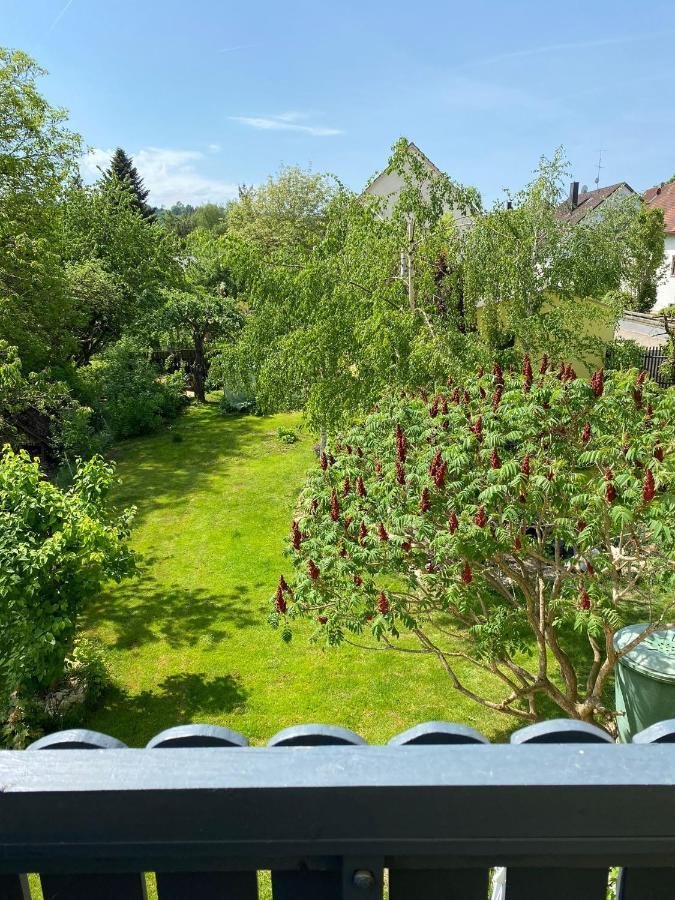 Ferienwohnung Zur Roni Тройхтлинген Екстериор снимка